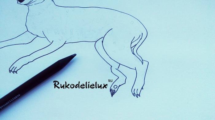 10 фото собака далматинец картинка карандашом