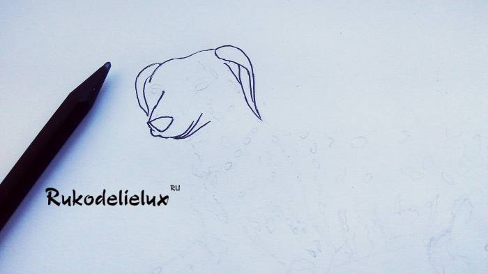 собака далматин карандашом фото 3