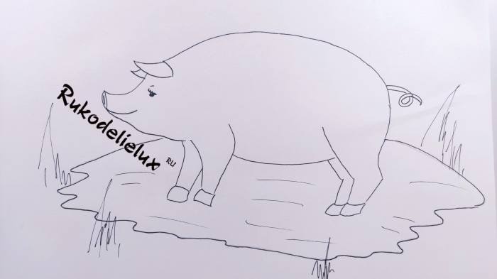 уроки рисования свиньи поэтапно