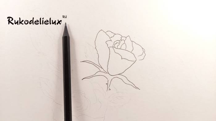карандашами розы на святого валентина фото 3