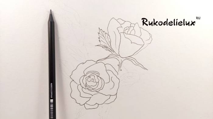 5 фото букет розы на день влюбленных карандашами