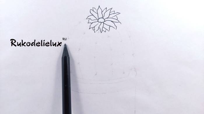 кактус простым карандашом фото 2 в горшке