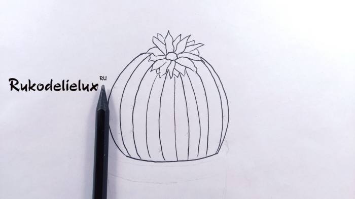 кактус в горшке фото 3 простым карандашом