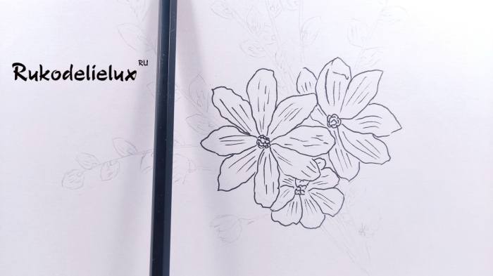 карандашом верба с цветами фото 3 рисунок