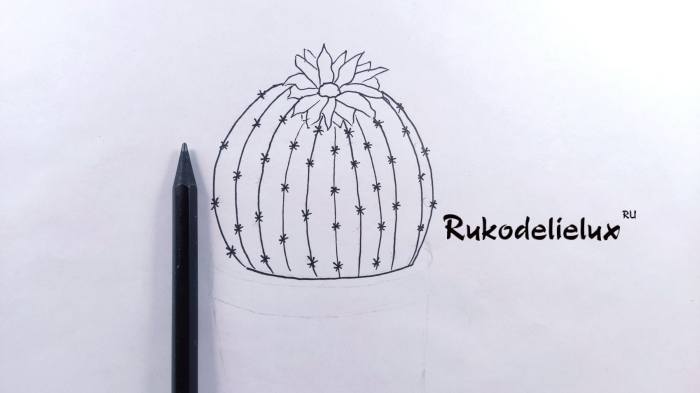 простым карандашом кактус в горшке фото 4