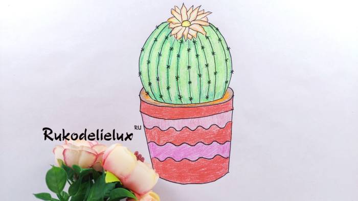 кактус в горшке цветными карандашами своими руками