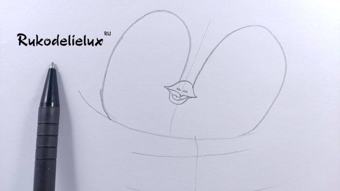 как нарисовать пингвина цветными карандашами фото 12