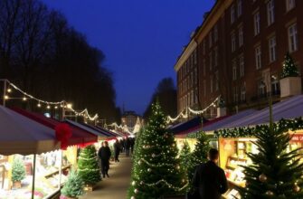 Елочные базары: где искать, как выбрать и что делать с елкой после праздников